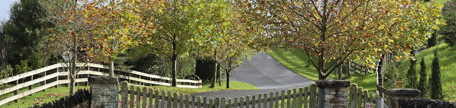 Kumeu Lifestyle Subdivision rural subdivision kumeu - Kumeu Lifestyle Subdivision