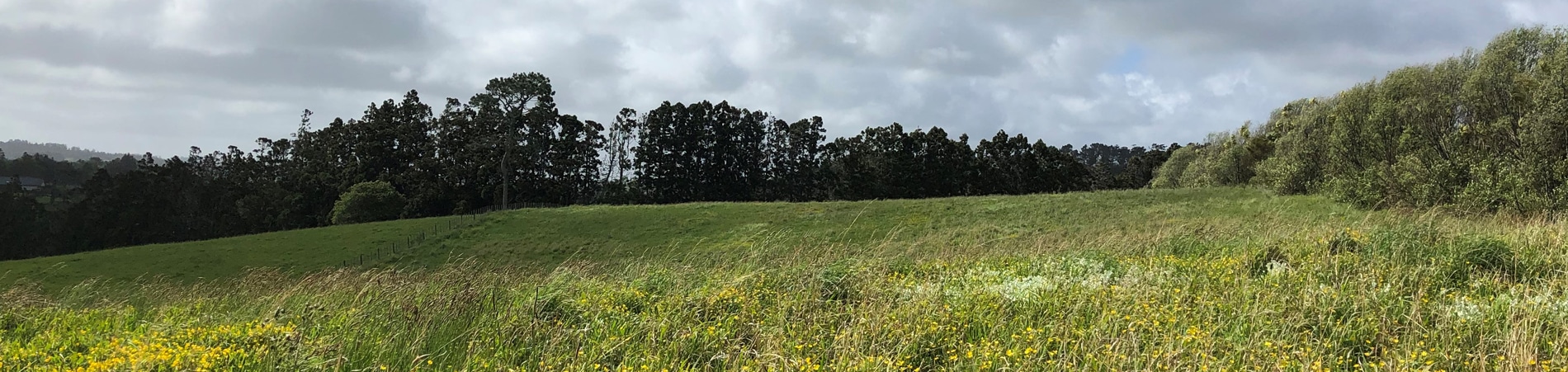 Countryside Living Subdivision Trigg Road land contamination project feature image - Countryside Living Subdivision