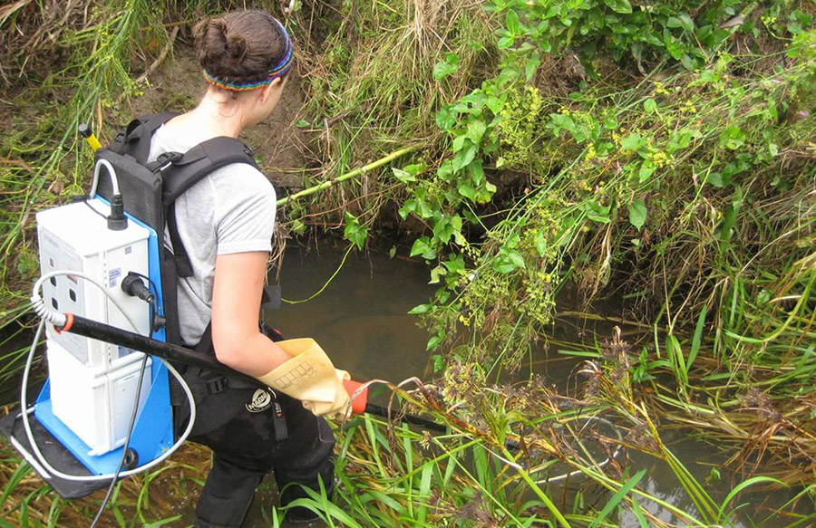 ecotone biodiversity