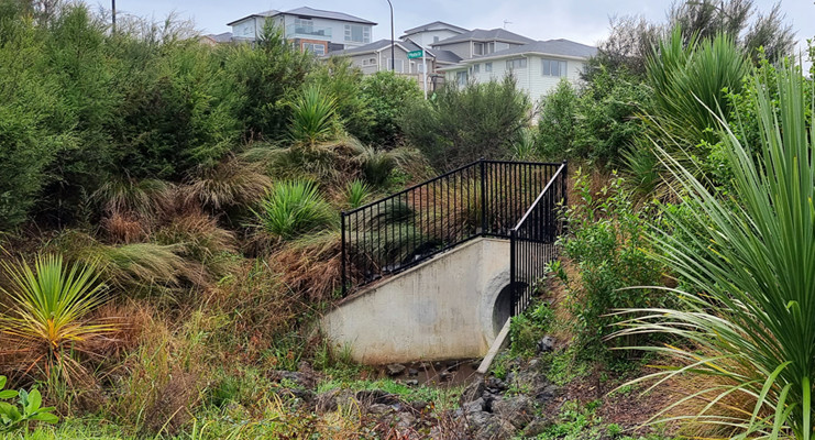 Riverhead South Stormwater Culvert and stream restoration - Water New Zealand's Stormwater 2021 Conference