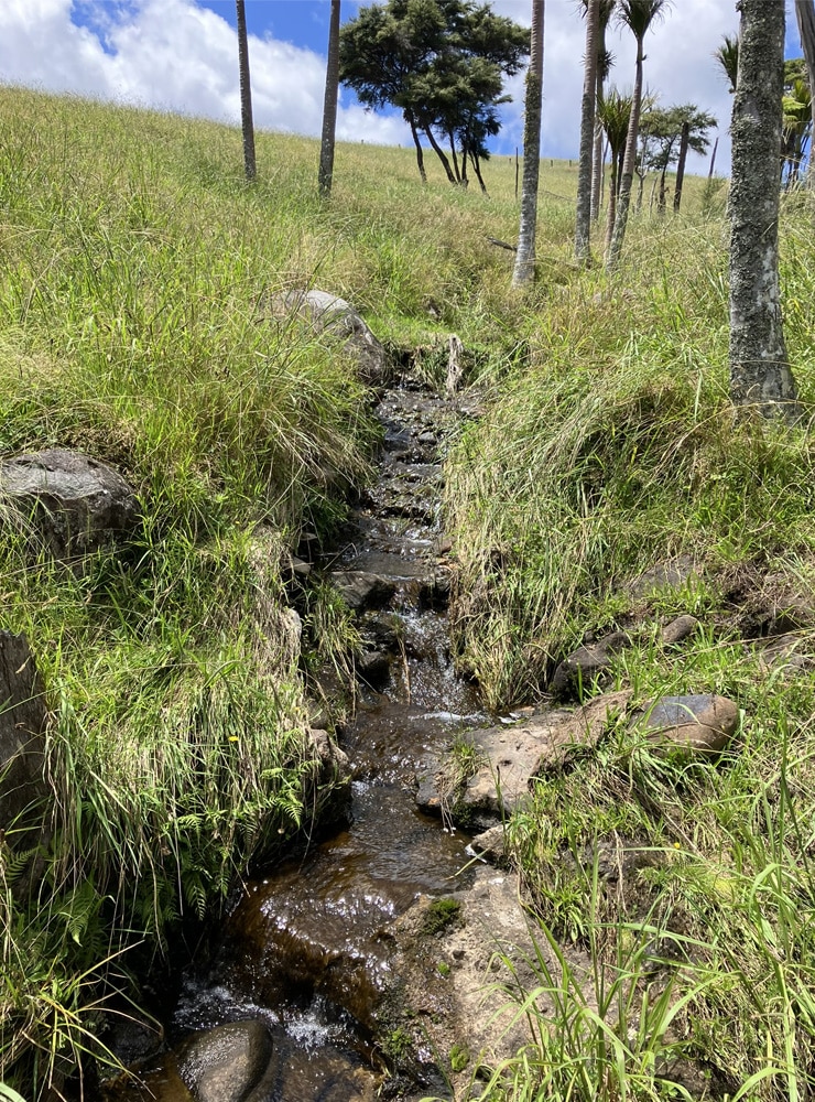 Stream Offset Mitigation - Stream Offset Mitigation - Opportunity for Rural Stream Restoration at Urban Developers Cost