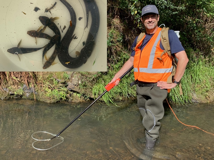 Ecology Cato Bolam Freshwater Fish Surveys - Ecology