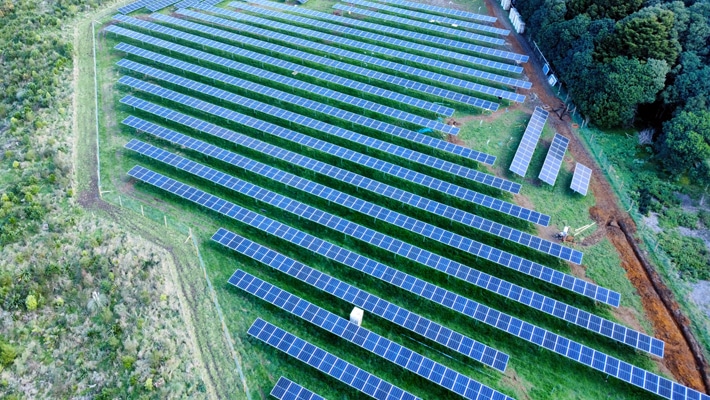 Waiuku Solar Farm Cato Bolam & Lightyears Solar