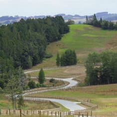 1ha Rural Countryside Living Subdivision RGB 235x235 - Thinking about securing your farm’s future?