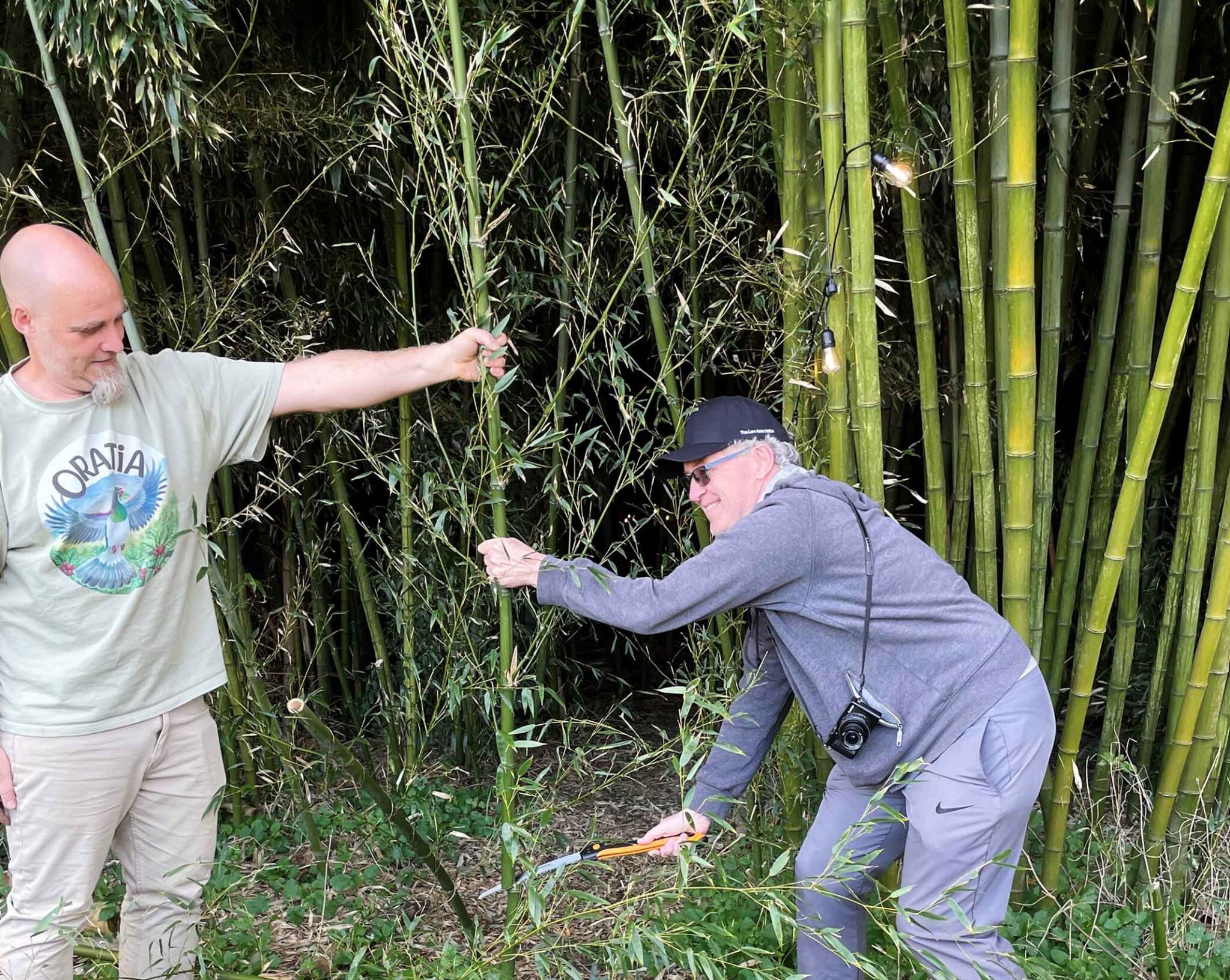 Oratia wildlife project 1 cato bolam scaled - Connecting Conservation Efforts in Ōrātia