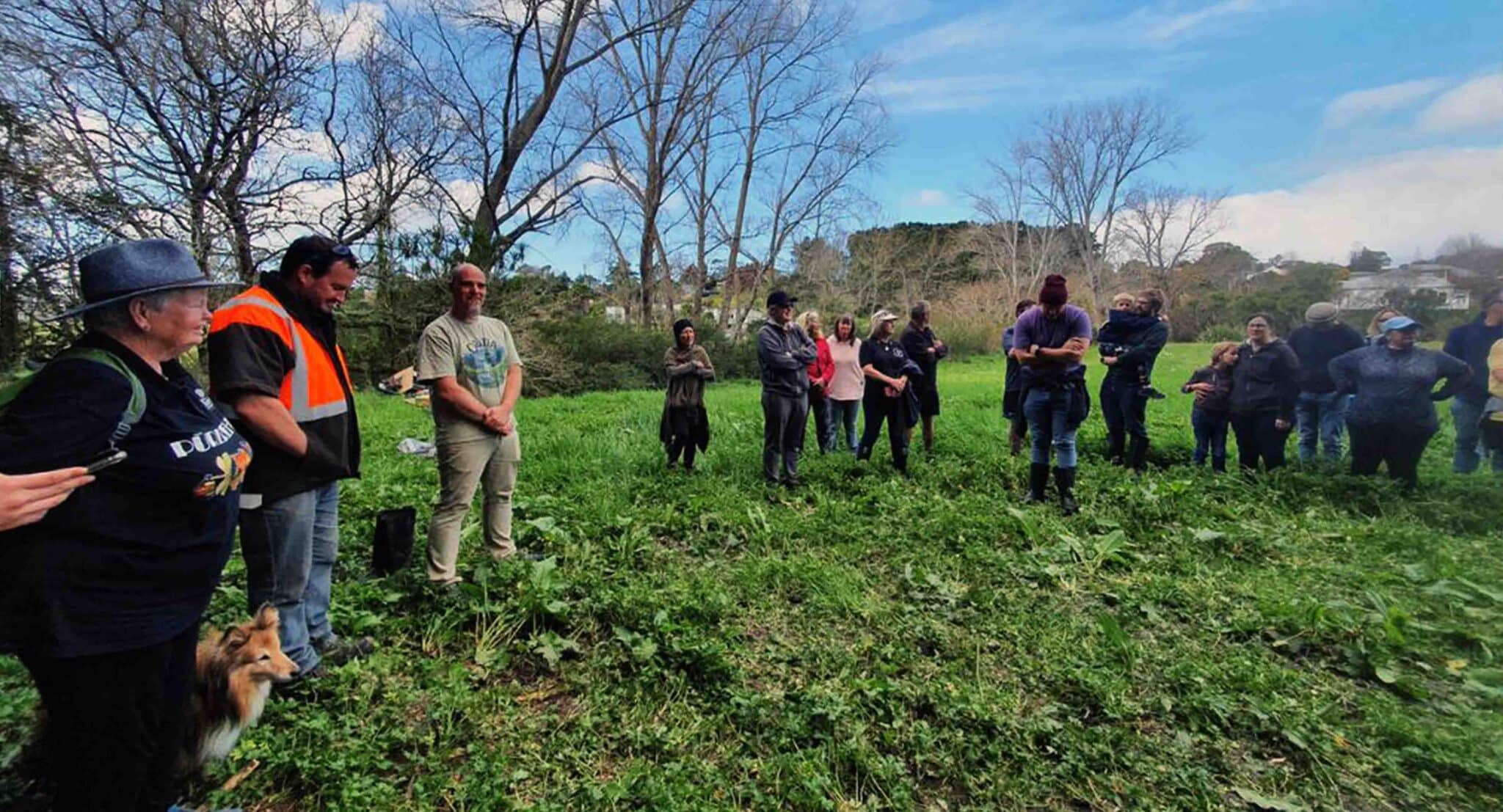 Oratia wildlife project 2 cato bolam scaled - Connecting Conservation Efforts in Ōrātia