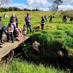 Oratia wildlife project 4 cato bolam 235x235 - Connecting Conservation Efforts in Ōrātia