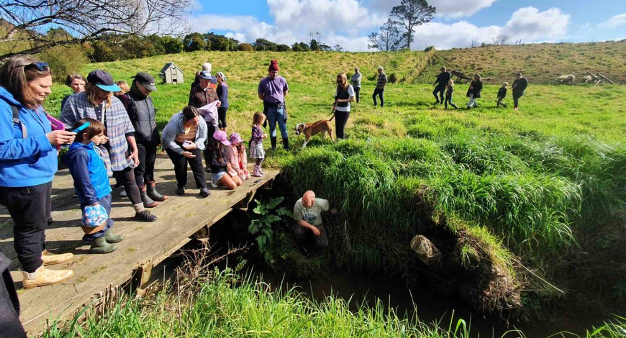 Oratia wildlife project 4 cato bolam scaled - Connecting Conservation Efforts in Ōrātia