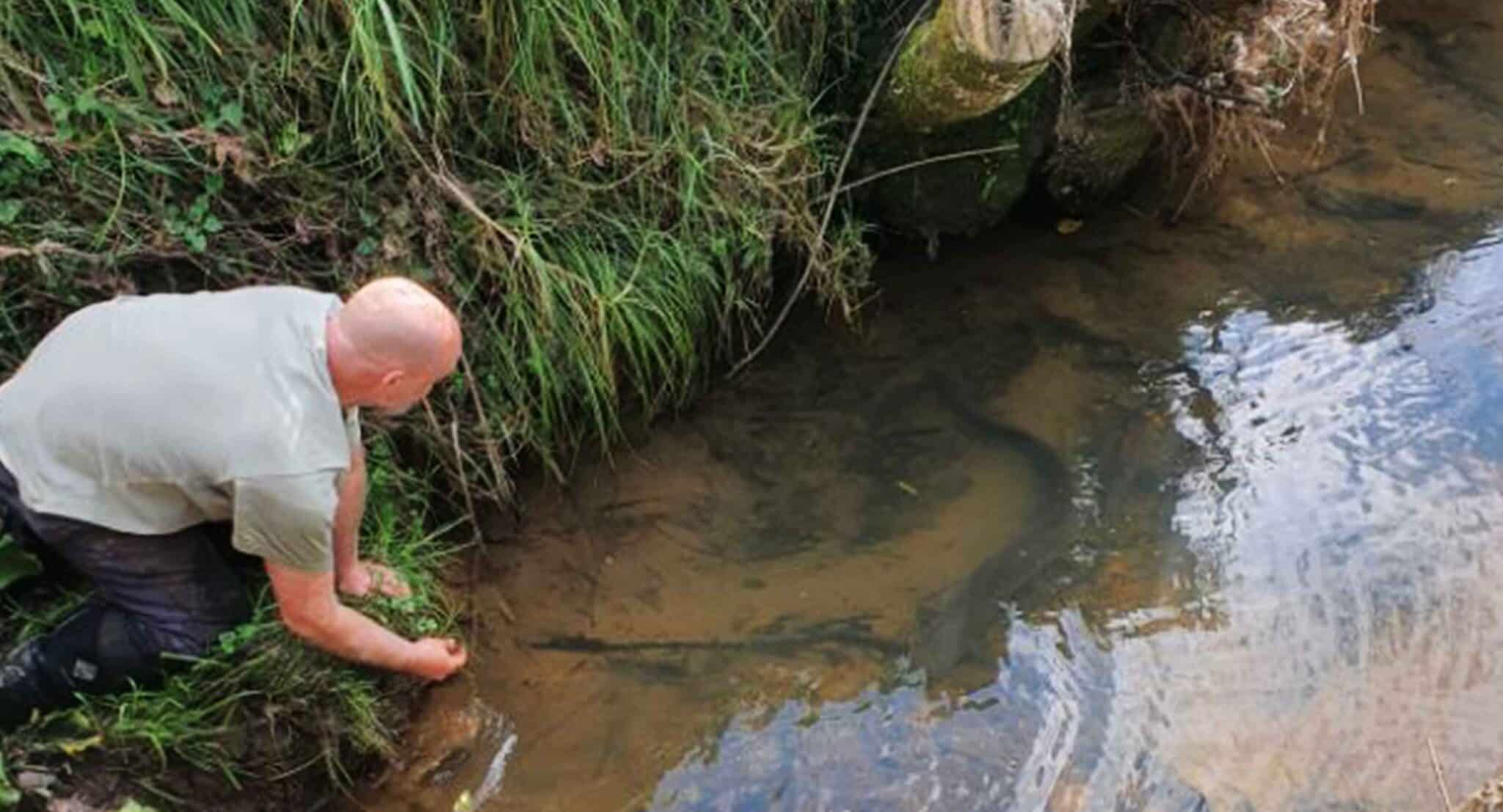 Oratia wildlife project Iggy cato bolam scaled - Connecting Conservation Efforts in Ōrātia