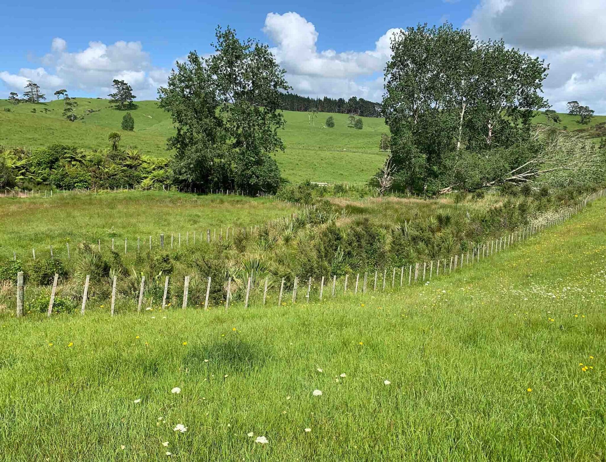 Boundary adjustments 2 catobolam.co .nz  scaled - Navigating Rural Boundary Adjustments