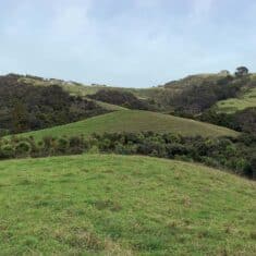 boundary adjustments catobolam.co .nz  235x235 - Navigating Rural Boundary Adjustments