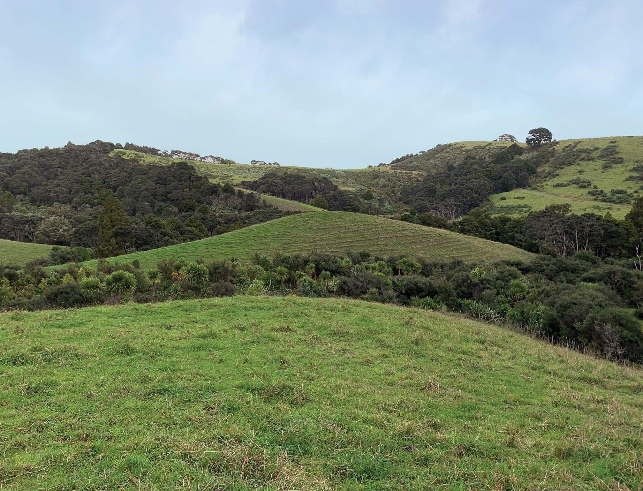 boundary adjustments catobolam.co .nz  scaled - Navigating Rural Boundary Adjustments