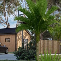 36 Muir Ave Slider catobolam.co .nz  235x235 - 36 Muir Avenue