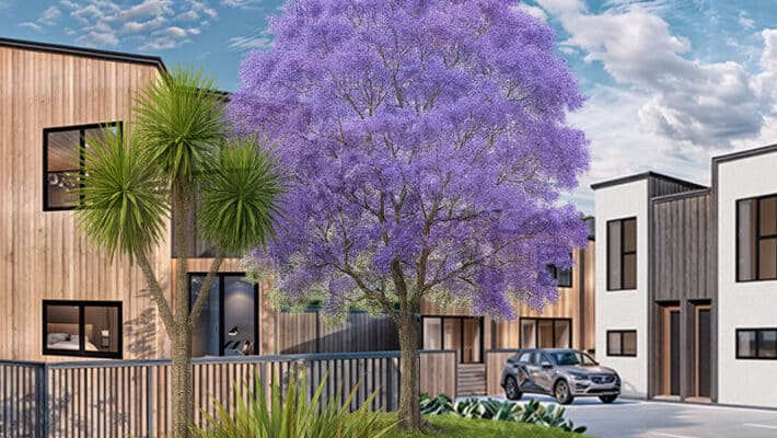 39 Muir Ave Slider catobolam.co .nz  710x400 - Land Development Project Management