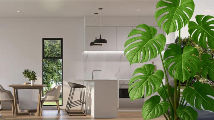 447 Kamo Road Slider catobolam.co .nz  710x400 - Land Development Project Management