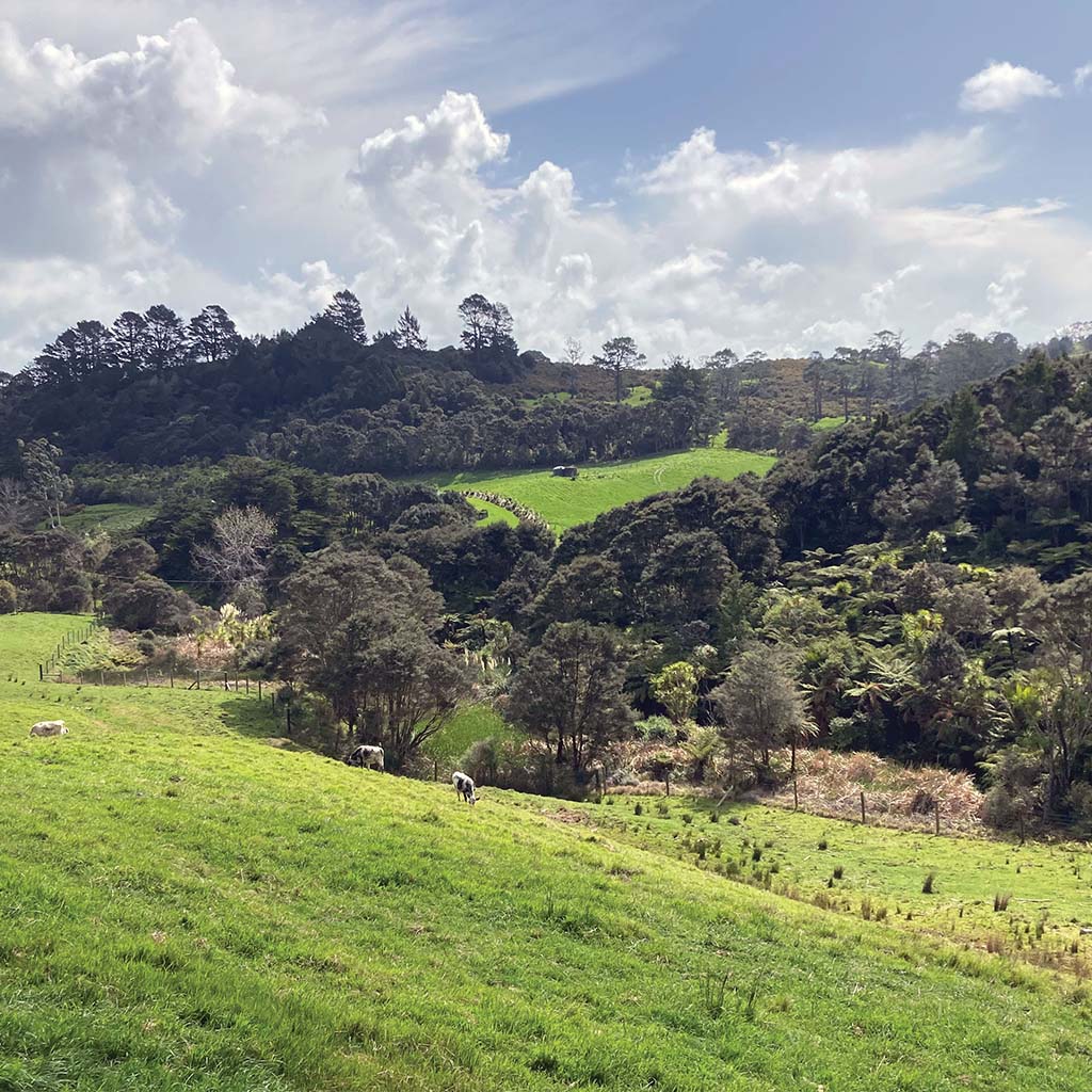 Rural environmental enhancement subdivision catobolam.co .nz  - Five ways to add real value to your rural subdivision