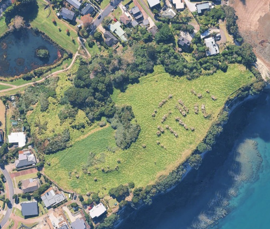 Hawaiian Parade catobolam.co .nz  - Hawaiian Parade; delivering a well-connected coastal neighbourhood