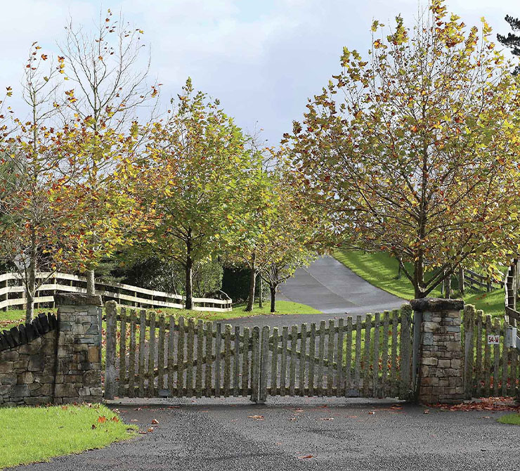 Rural Subdivision land use Expert - Rural Subdivisions & Land Use