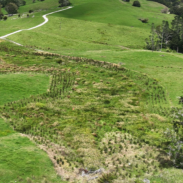 Rural environmental subdivision catobolam.co .nz  - Rural Subdivisions & Land Use
