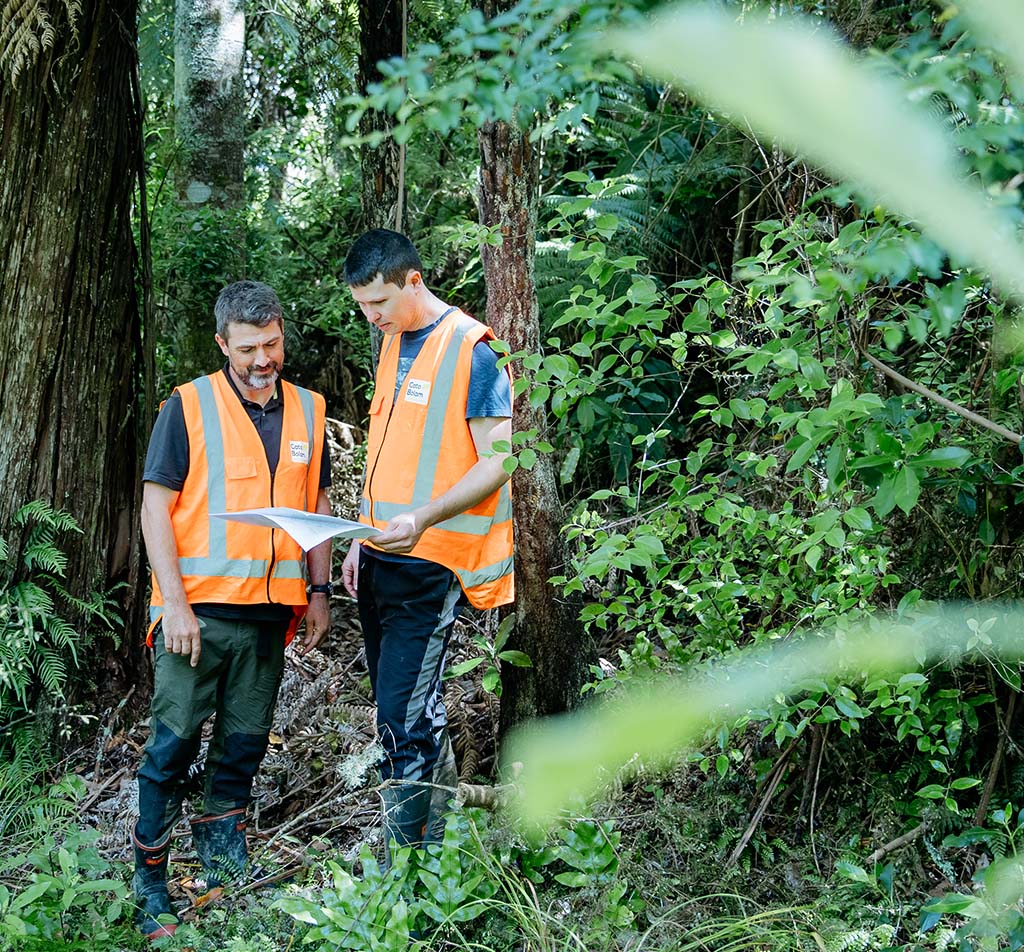 Ecological Assessment catobolam.co .nz  - Now&rsquo;s the Time to Plan Native Planting and Wetland Restoration