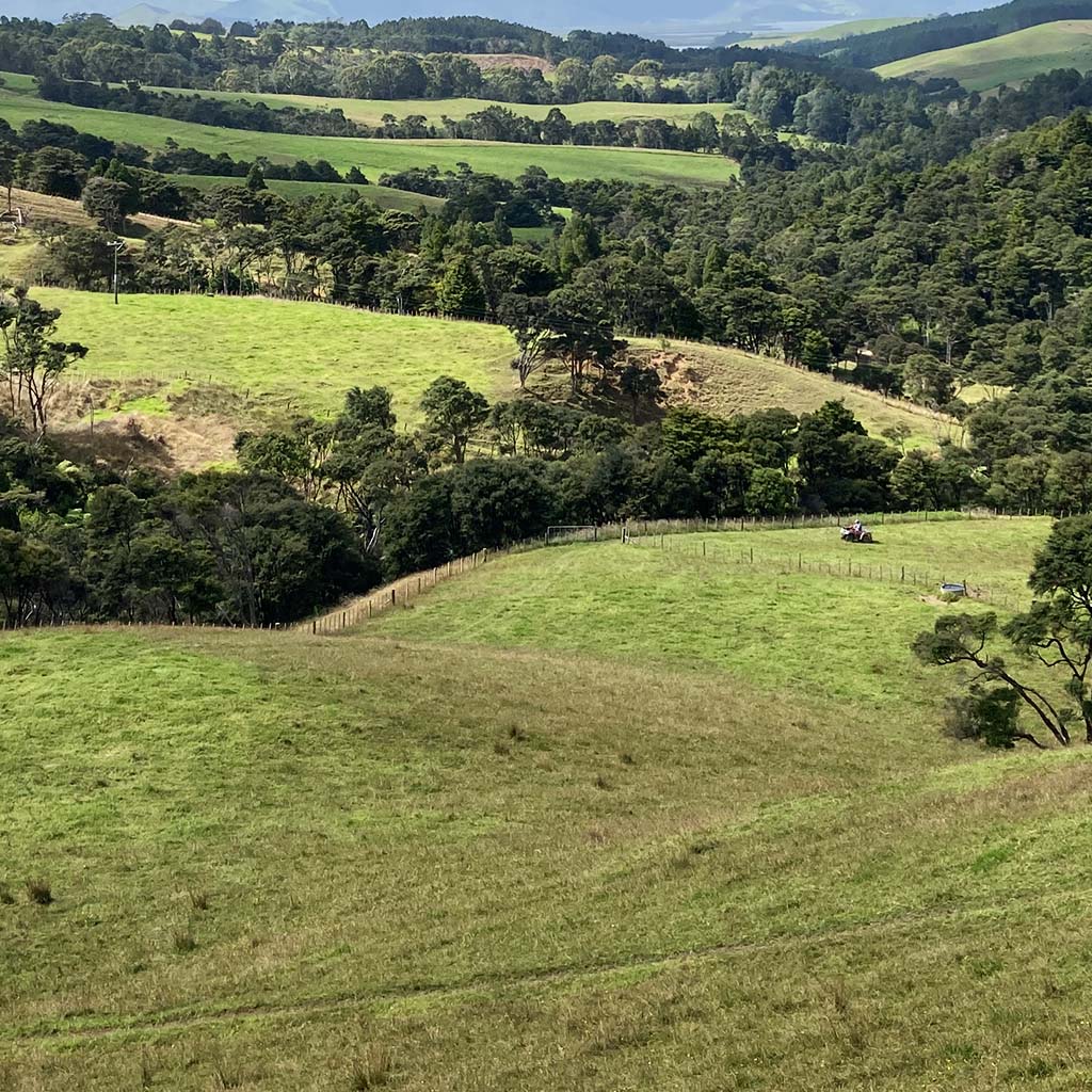 Transferable Title Rights catobolam.co .nz  - Now&rsquo;s the Time to Plan Native Planting and Wetland Restoration