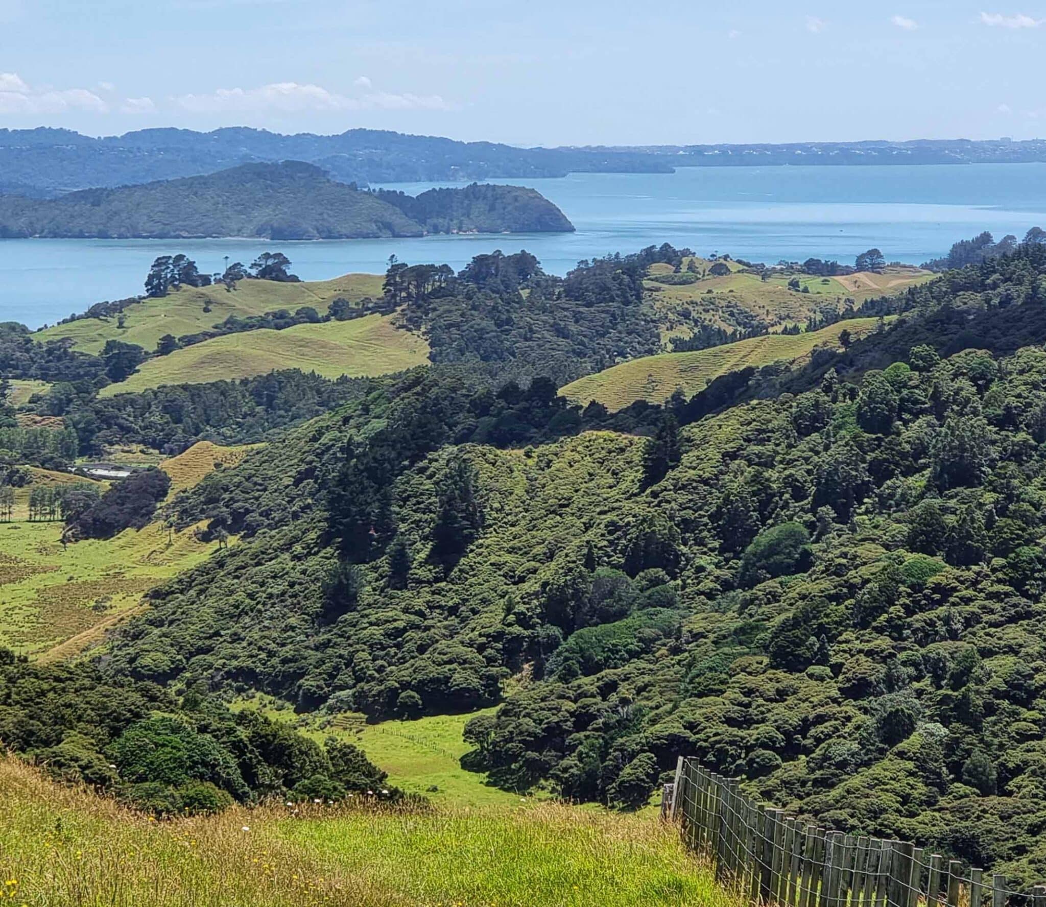 Unlocking Value in Northland’s Rural Land Rural environmental protection subdivision catobolam.co .nz scaled - Unlocking Value in Northland’s Rural Land
